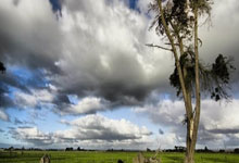 南特客场战胜里尔，重获胜利