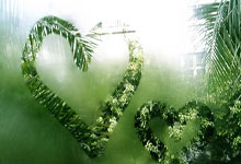 阿尔及利亚赛：埃及队与突尼斯队争夺胜利