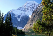 巴西圣保罗连胜过关，晋级欧冠强