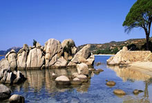 韩国选手意外失利，获得铜牌颇为不易